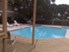 Shadow Tree - Pool - Photo 4 of 6