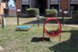 Ellington - Dog Park - Photo 4 of 15