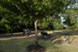 Champions Cove - Dog Park - Photo 5 of 12