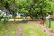 Arboretum Oaks - Dog Park - Photo 6 of 23