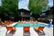 Terrain - Pool - Photo 6 of 16