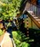 Oaks of Baytown - Exterior - Photo 5 of 24