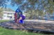 Woodland Ridge - Playground - Photo 6 of 18
