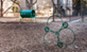 Ellwood at Lake Travis - Dog Park - Photo 4 of 14