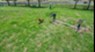 Springs of Indian Creek I & II - Dog Park - Photo 8 of 22