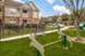 Carrington at Barker Cypress - Dog Park - Photo 8 of 20