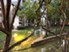 Enclave at Arlington - Exterior - Photo 5 of 13