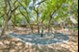 MAA Barton Skyway - Dog Park - Photo 7 of 19