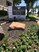 Belmont Estates - Entrance - Photo 2 of 19