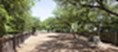 MAA Western Oaks - Dog Park - Photo 4 of 10