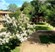 Parkwood - Courtyard - Photo 5 of 12