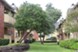 Peachtree Square - Courtyard - Photo 5 of 12
