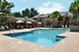Westborough Crossing - Pool - Photo 8 of 53