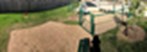 Crenshaw Grand - Dog Park - Photo 4 of 21
