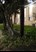 Pin Oak Park - Katy, TX - Photo 1 of 3