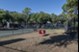 Cambridge Place - Dog Park - Photo 8 of 24