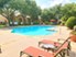 Langdon at Spring Creek - Pool - Photo 5 of 19