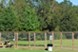 Sleepy Hollow - Dog Park - Photo 7 of 10