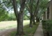 Bayou Bend - Jogging Trail - Photo 7 of 13