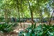 Post Oak at Woodway - Dog Park - Photo 6 of 11