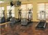 Timber Oaks - Fitness Center - Photo 6 of 11