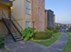 Pine Forest Park - Exterior - Photo 6 of 23