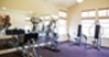 Oaks - Fitness - Photo 7 of 10