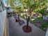 East University Place Condos - Picnic Area - Photo 5 of 9