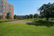 Taylor Lofts - Dog Park - Photo 6 of 18