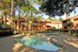 Forest Creek - Pool - Photo 5 of 13