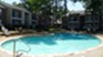 Treehouse - Pool - Photo 5 of 13