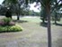 Sequoia Park - Courtyard - Photo 3 of 22