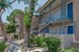 La Primavera - Exterior - Photo 4 of 44