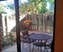 Waterbury Place - Patio - Photo 8 of 14