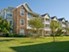 Knox at Shadowlake - Houston, TX - Photo 1 of 24