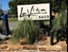 La Vita on Lovers Lane - Entrance - Photo 3 of 45