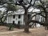 Grove - San Antonio, TX - Photo 1 of 8