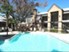 5636 Apartment Homes - Pool - Photo 3 of 9