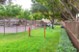 Vine South - Dog Park - Photo 6 of 22