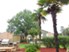 Arden Cypress Station - BBQ - Photo 4 of 11