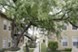 Calypso - San Antonio, TX - Photo 1 of 13