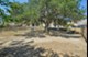 Vistas at Vance Jackson - Dog Park - Photo 7 of 39