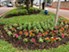 Lenox Park - Landscape - Photo 4 of 17
