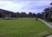 Oakwood Village - Courtyard - Photo 3 of 5