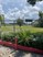 Tierwester Village - Landscape - Photo 4 of 11