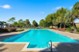 Palms - Pool - Photo 3 of 19