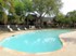 Palms on Rolling Creek - Pool - Photo 7 of 16