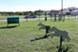 Longhorn Cove - Dog Park - Photo 4 of 12
