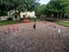 Sedona Springs - Dog Park - Photo 2 of 6