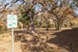 Cooper Park - Dog Park - Photo 7 of 16